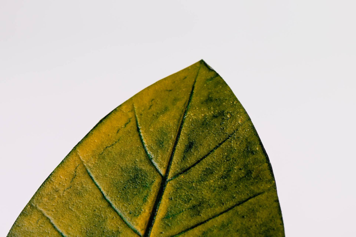 JOGO DESCANSO DE COPO TAIOBA - 4 UN