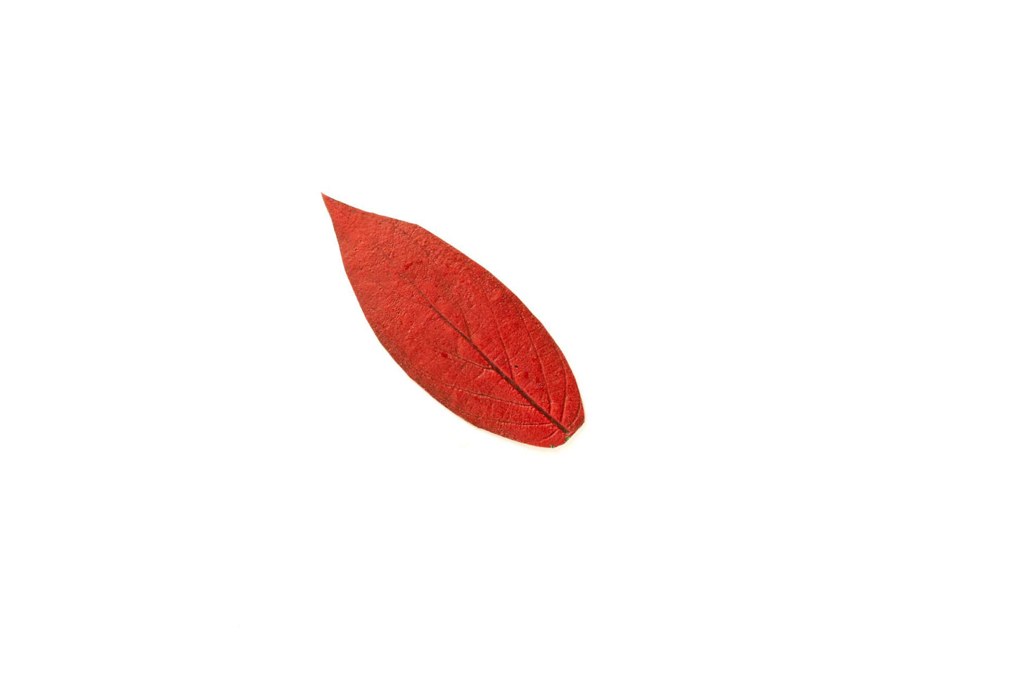 MARCADOR CONHECIMENTO ANCESTRAL - VERMELHO